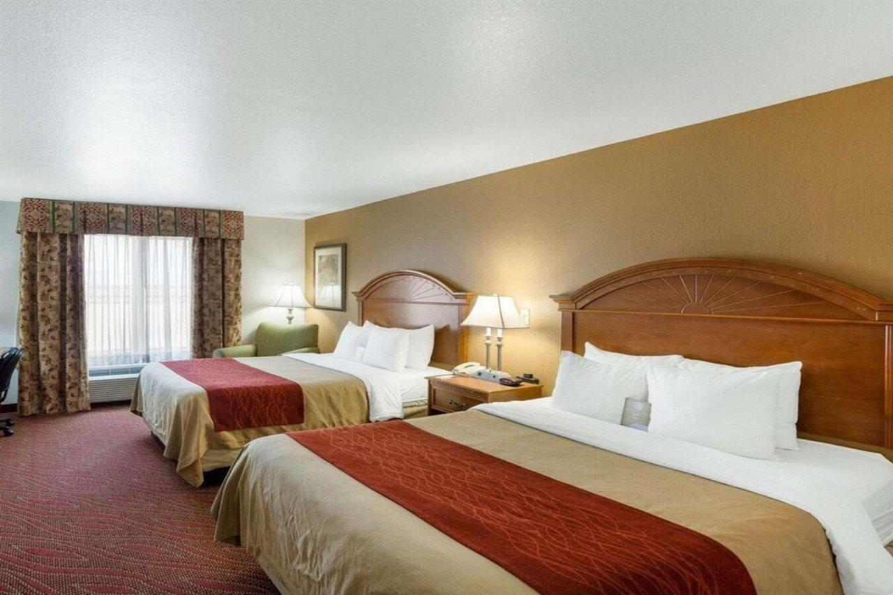 Comfort Inn & Suites Near Medical Center San Antonio Dış mekan fotoğraf