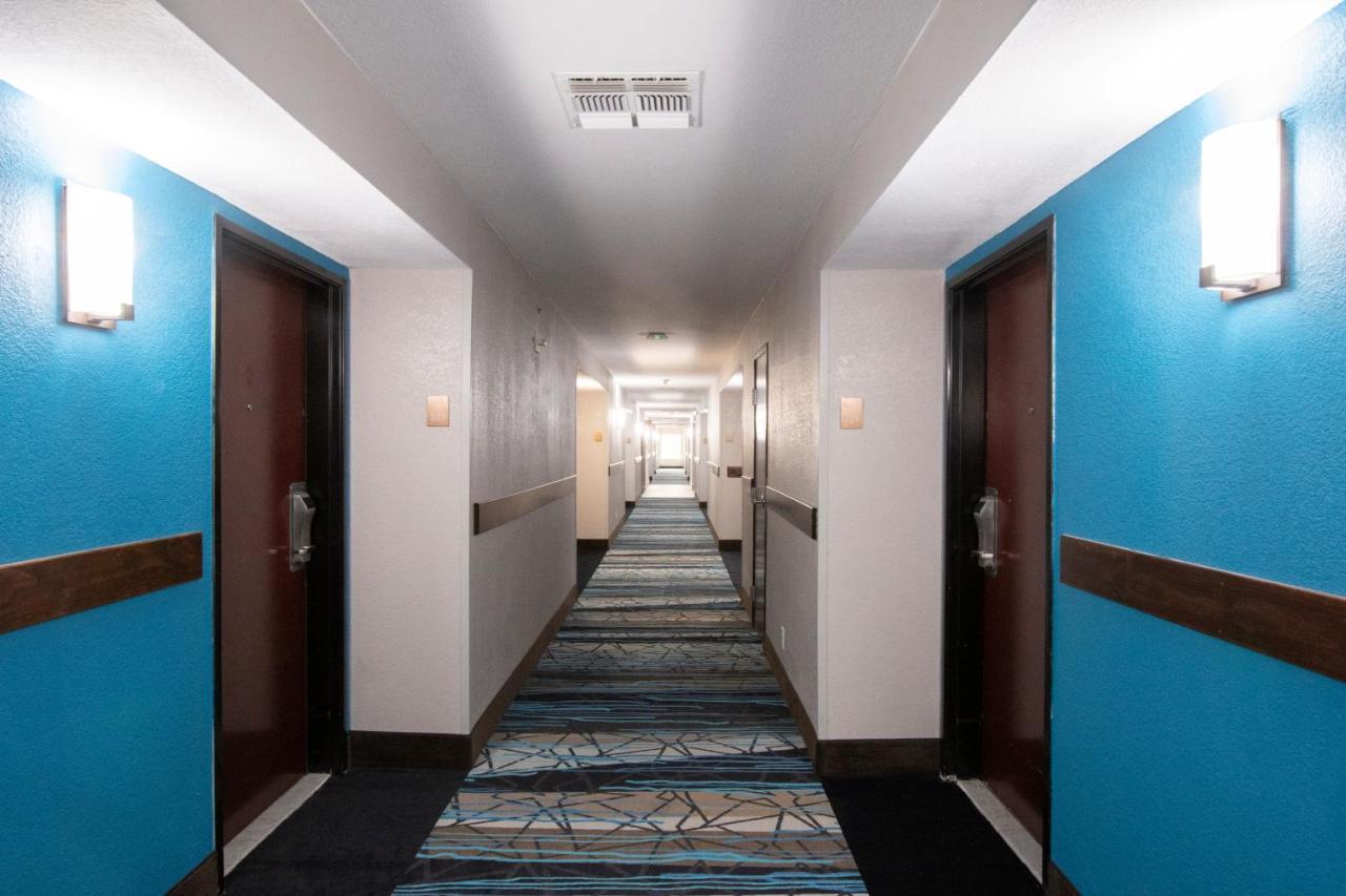 Comfort Inn & Suites Near Medical Center San Antonio Dış mekan fotoğraf
