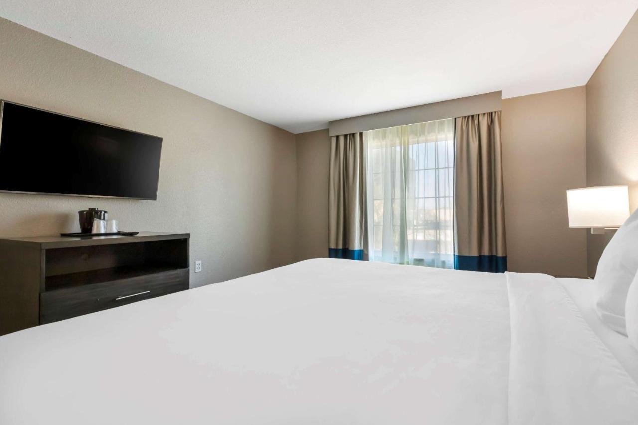 Comfort Inn & Suites Near Medical Center San Antonio Dış mekan fotoğraf